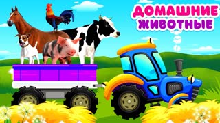 Синий трактор привёз животных корову лошадь свинью курицу Домашние животные для детей Звуки животных