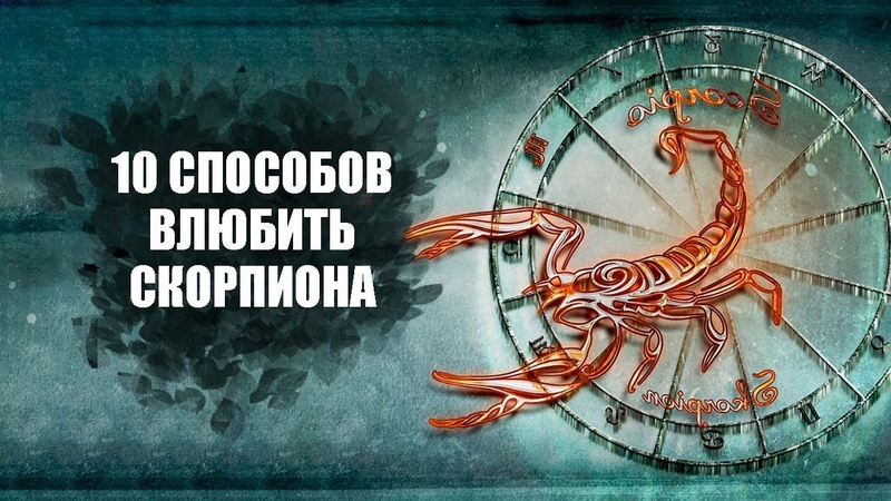 Секс Мужчина Рыба Скорпион Секс Мужчина Рыба Скорпион