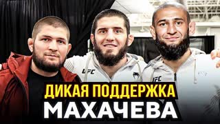 ФИНАЛЬНЫЙ ПРОГНОЗ БОЙЦОВ UFC на бой. Махачев vs Оливейра. Прямой ЭФИР UFC 280. НОВОСТИ ММА