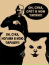 Екатерина Гофф фотография #25 (источник - https://vk.com/id145043154)