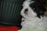 Фотография Радышевой Ольги