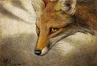 Фотография Inebriare Liana