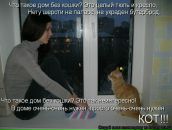 Фотография Шуравиной Кати