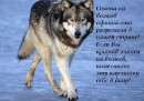 Андрій Ріпак фотография #28 (источник - https://vk.com/id37923281)