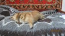 Ірочка Оверчук фотография #16 (источник - https://vk.com/id153074853)