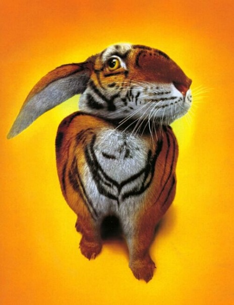 Дима Плешка фото №14