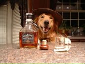 Gökmen Erol фотография #10 (источник - https://vk.com/id94477482)