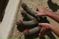 Джейн Эйр фотография #9 (источник - https://vk.com/id440454)