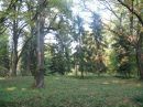 Наталія Васильченко фотография #34 (источник - https://vk.com/id22668075)