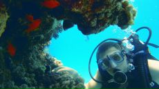 Фотография Тарасова Владимира