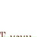 Марія Мацола фотография #16 (источник - https://vk.com/id97844136)