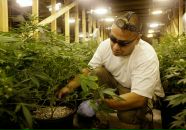 Ігор Дмитрів фотография #48 (источник - https://vk.com/id19686802)