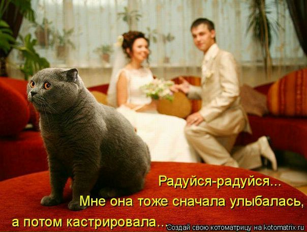 №3, Евгений Романов, Ярославль №3, Евгений Романов, Ярославль