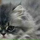 Оля Бондарчук--Варшавець фотография #47 (источник - https://vk.com/id52409522)