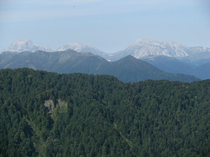 Владимир Путря фотография #19