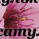 Анастасія Гудзак фотография #20 (источник - https://vk.com/id98965948)