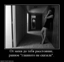 Олександр Солоний фотография #44 (источник - https://vk.com/id12110341)