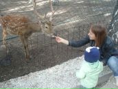 Фотография Аверьяновой Марии