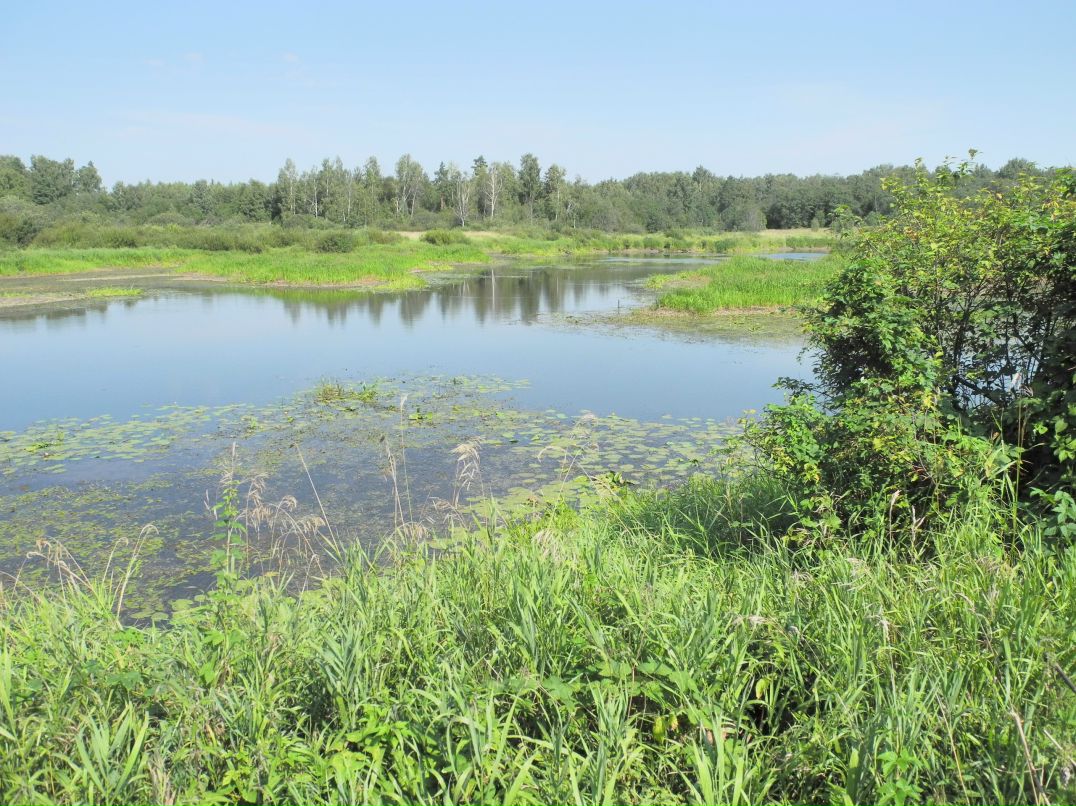 Илья Маслов фотография #44