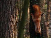 Євка Ес-Кар-Го фотография #38 (источник - https://vk.com/id63822917)