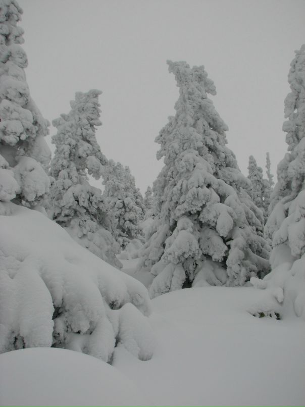 Антон Городилов фотография #38