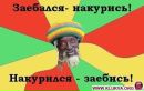 Іван Матюшенко фотография #49 (источник - https://vk.com/id170321252)