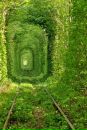 Фотография Денис Татаринов