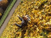 Вікусічка Січкоріз фотография #17 (источник - https://vk.com/id82463977)