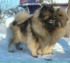 Фотография Кирпу Екатерины