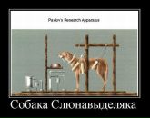 Віталік Вольт фотография #41 (источник - https://vk.com/id2228781)