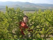 Фотография Якушовой-Фоминой Олеси