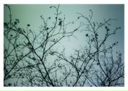 Фотография Струниной Наташи