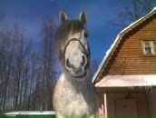 Фотография Береговой Ольги