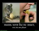 Ольга Вередін фотография #31 (источник - https://vk.com/id120300412)