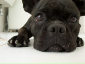 Roma Styazhkin фотография #7 (источник - https://vk.com/id2526983)