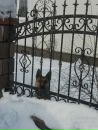 Вадім Попруга фотография #6 (источник - https://vk.com/id107625348)