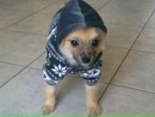 Фотография Татаркиной Натали