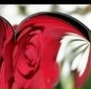 Юлія Коновалова фотография #20 (источник - https://vk.com/id90052186)