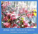 Іванна Лиско фотография #37 (источник - https://vk.com/id41298968)