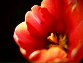 Фотография Милюковой Натальи