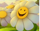 Толік Гойда фотография #20 (источник - https://vk.com/id15445831)