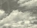 Люда Гаджієва фотография #26 (источник - https://vk.com/id139446448)