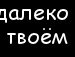 Олексій Зомчак фотография #30 (источник - https://vk.com/id141563411)