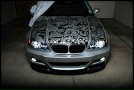 Marina Timoshenko фотография #33 (источник - https://vk.com/id16095962)