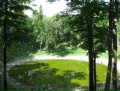 Teele Piik фотография #35 (источник - https://vk.com/id9423178)