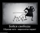 Фотография Шевелева Александра
