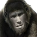 Фотография Бернова Сергея