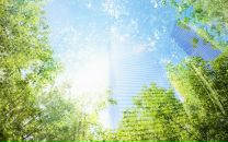 Фотография Беляевой Ольги