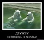 Міша Топоринський фотография #37 (источник - https://vk.com/id62491474)