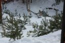 Фотография Окороковой Марии
